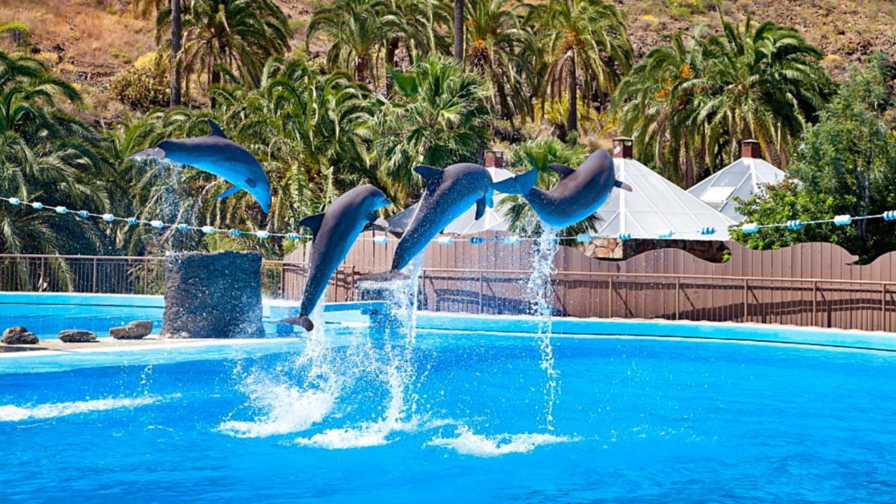 El Nido De Los Angeles Daire Playa del Ingles  Dış mekan fotoğraf